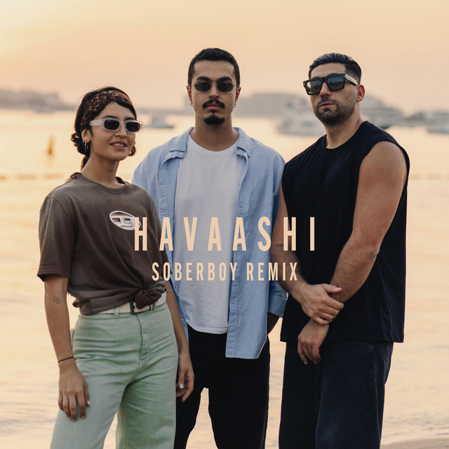 Cover artwork for Havaashi (Soberboy Remix)